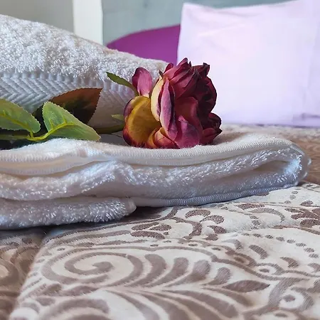 別荘 Casa Gina, With Views To Bay フンシャル