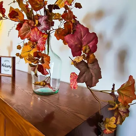 בית נופש Casa Gina, With Views To Bay